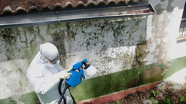 Trusted Mold Remediation service in Lottsburg, VA - Cheap Mold Removal
